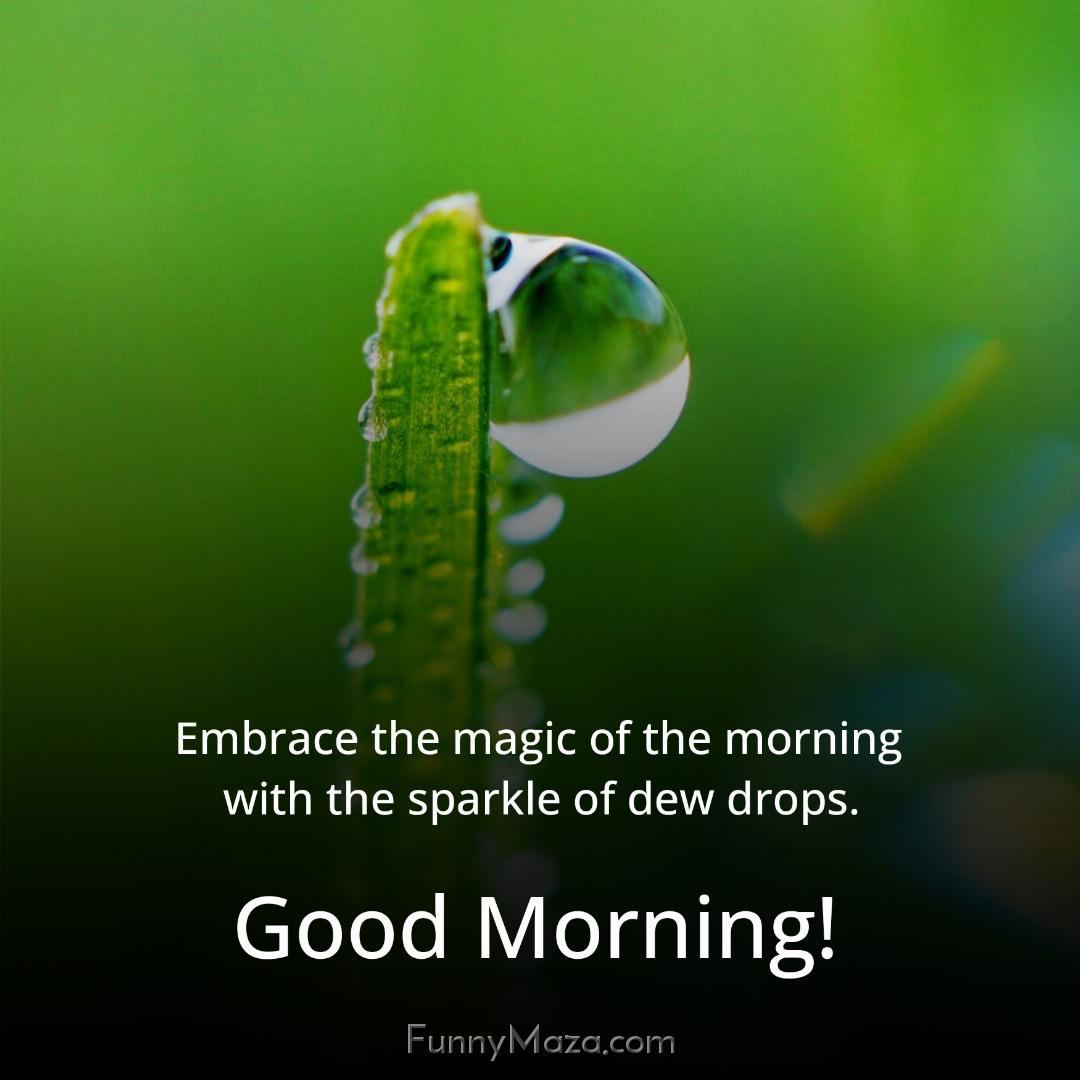 Embrace the magic of the morning with the sparkle of dew