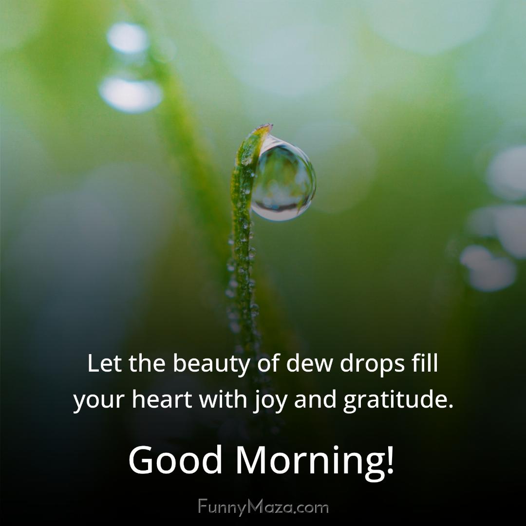 Let the beauty of dew drops fill your heart with joy