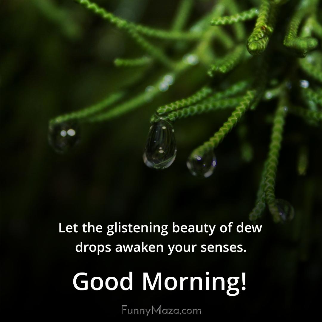 Let the glistening beauty of dew drops awaken your senses