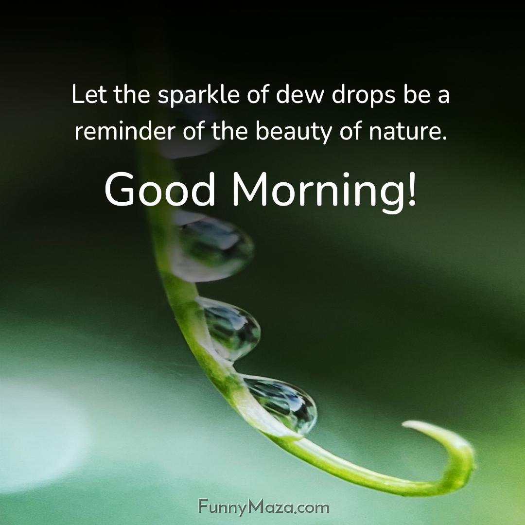 Let the sparkle of dew drops be a reminder of the