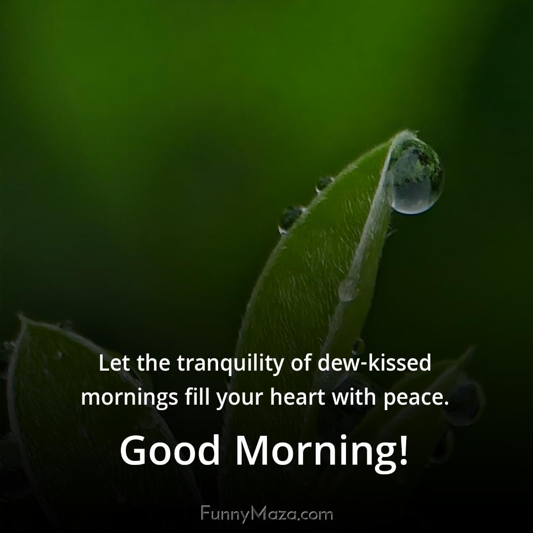 Let the tranquility of dew-kissed mornings fill your heart with peace