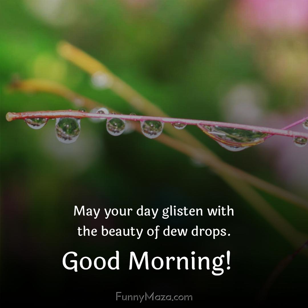 May your day glisten with the beauty of dew drops