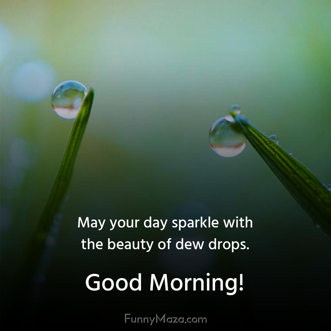 May your day sparkle with the beauty of dew drops