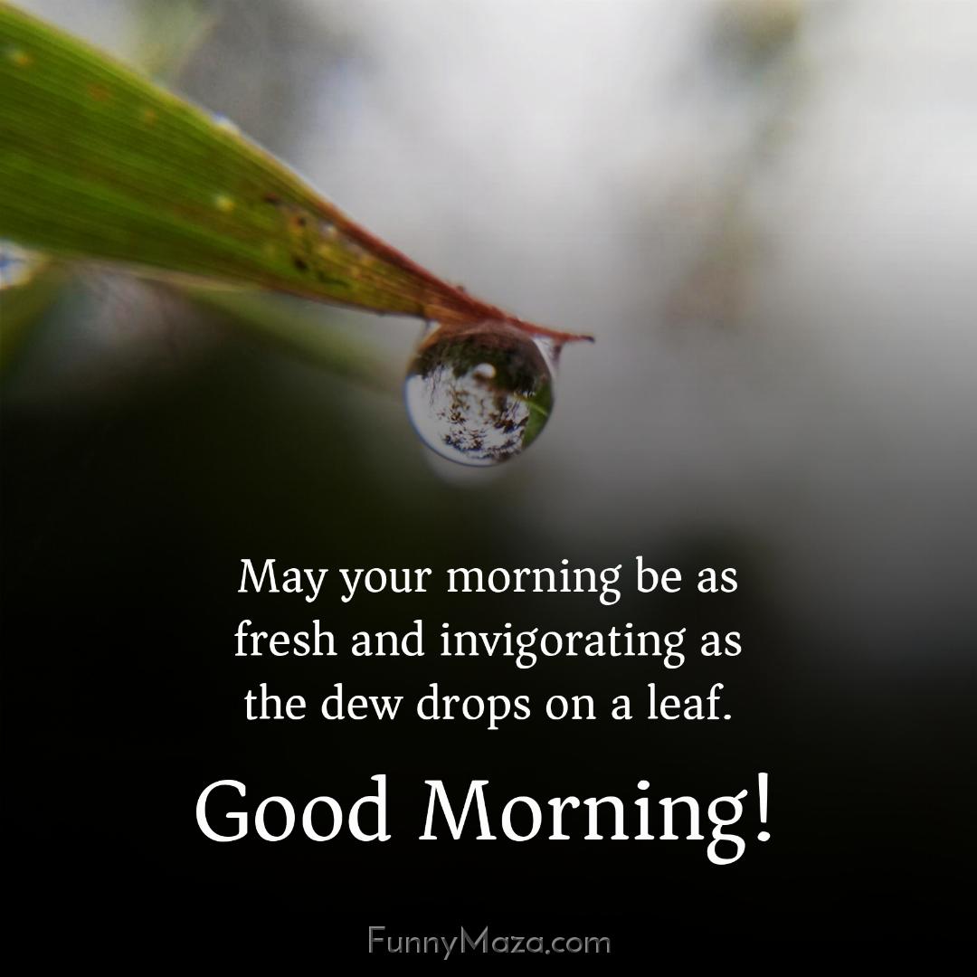 May your morning be as fresh and invigorating as the dew