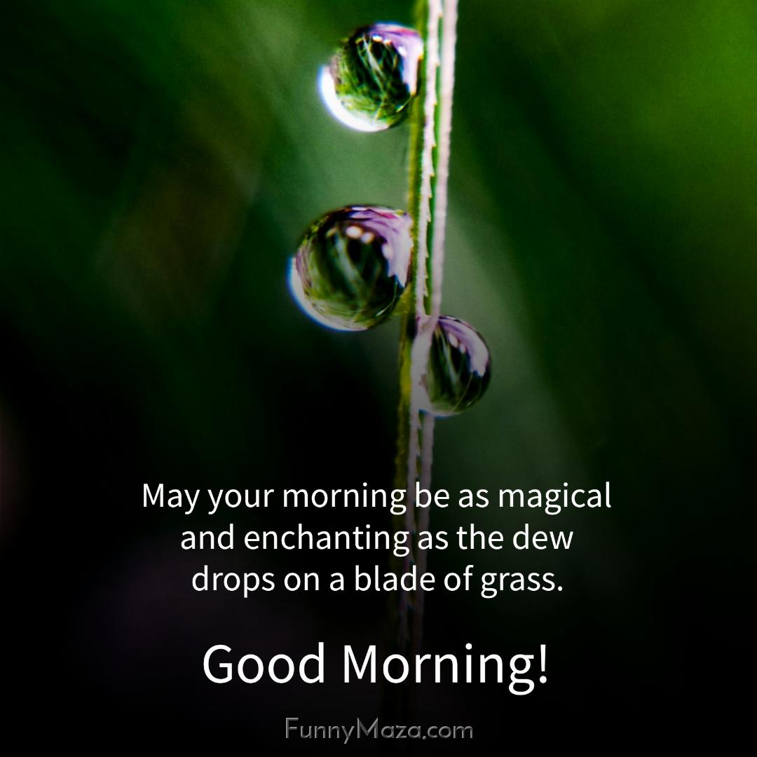 May your morning be as magical and enchanting as the dew