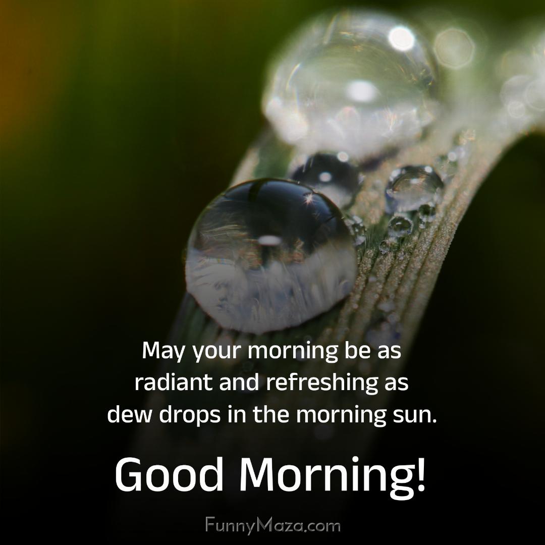 May your morning be as radiant and refreshing as dew drops