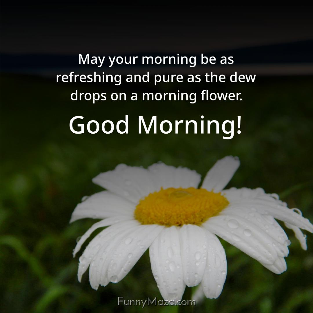 May your morning be as refreshing and pure as the dew