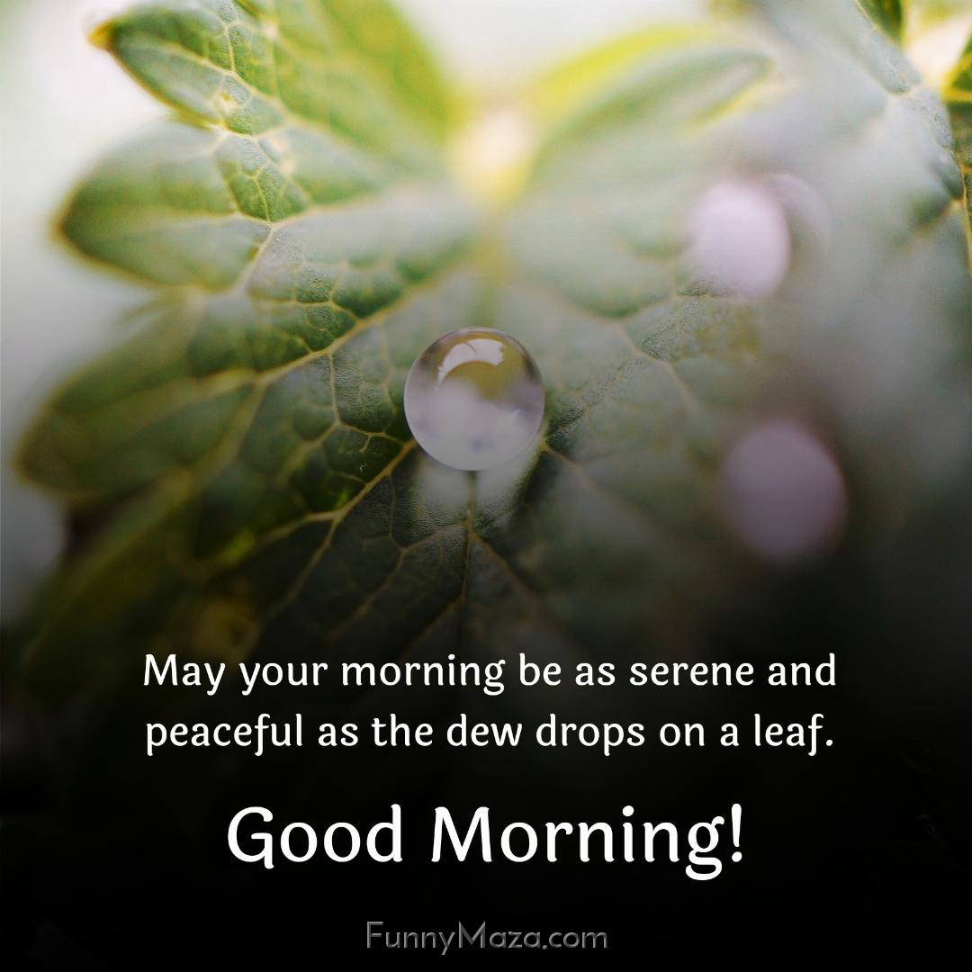 May your morning be as serene and peaceful as the dew