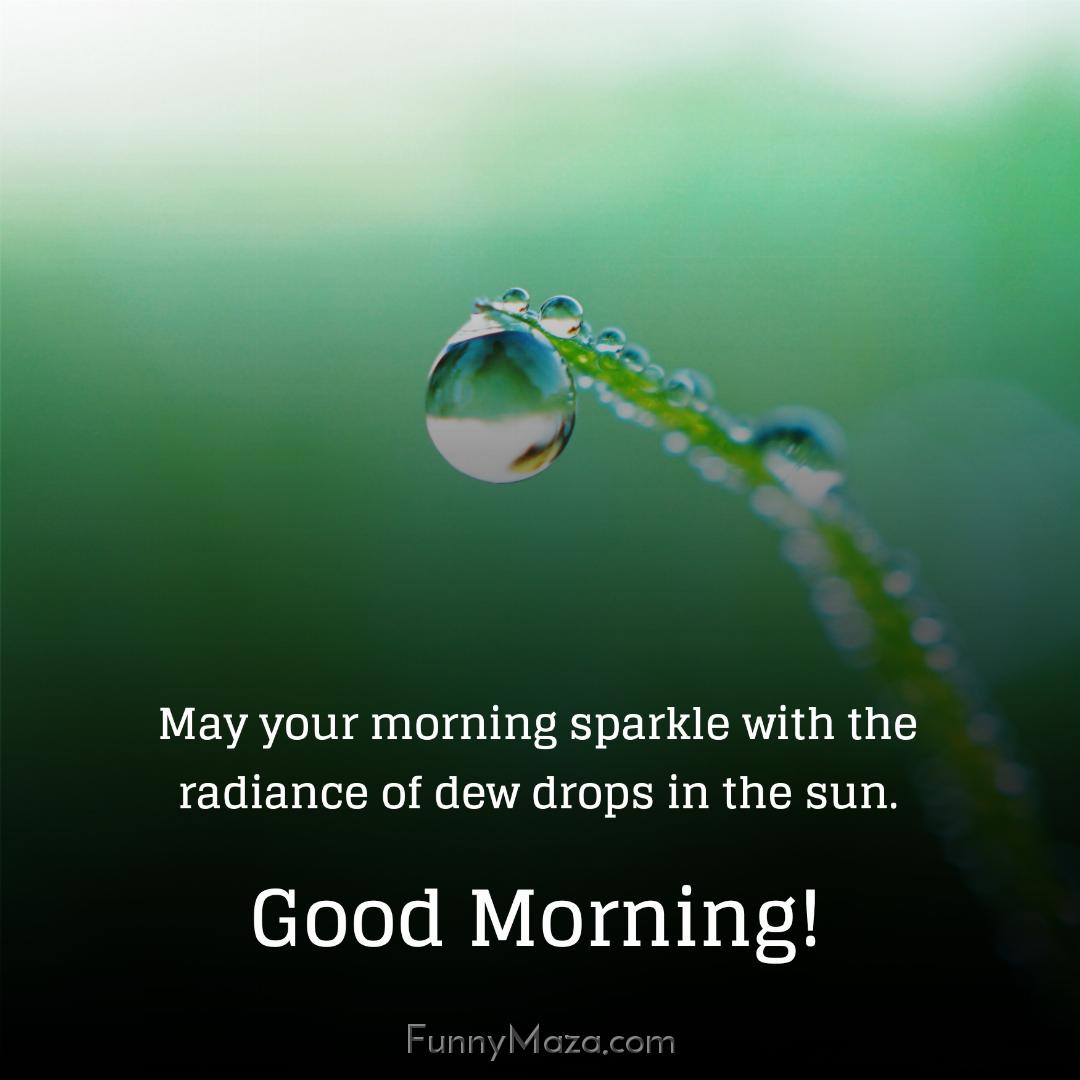 May your morning sparkle with the radiance of dew drops in