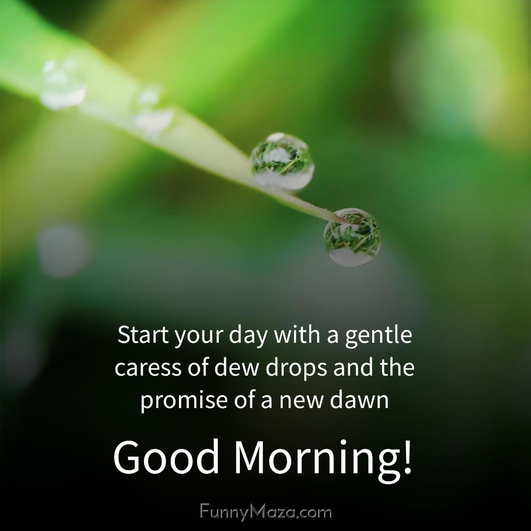 Start your day with a gentle caress of dew drops and