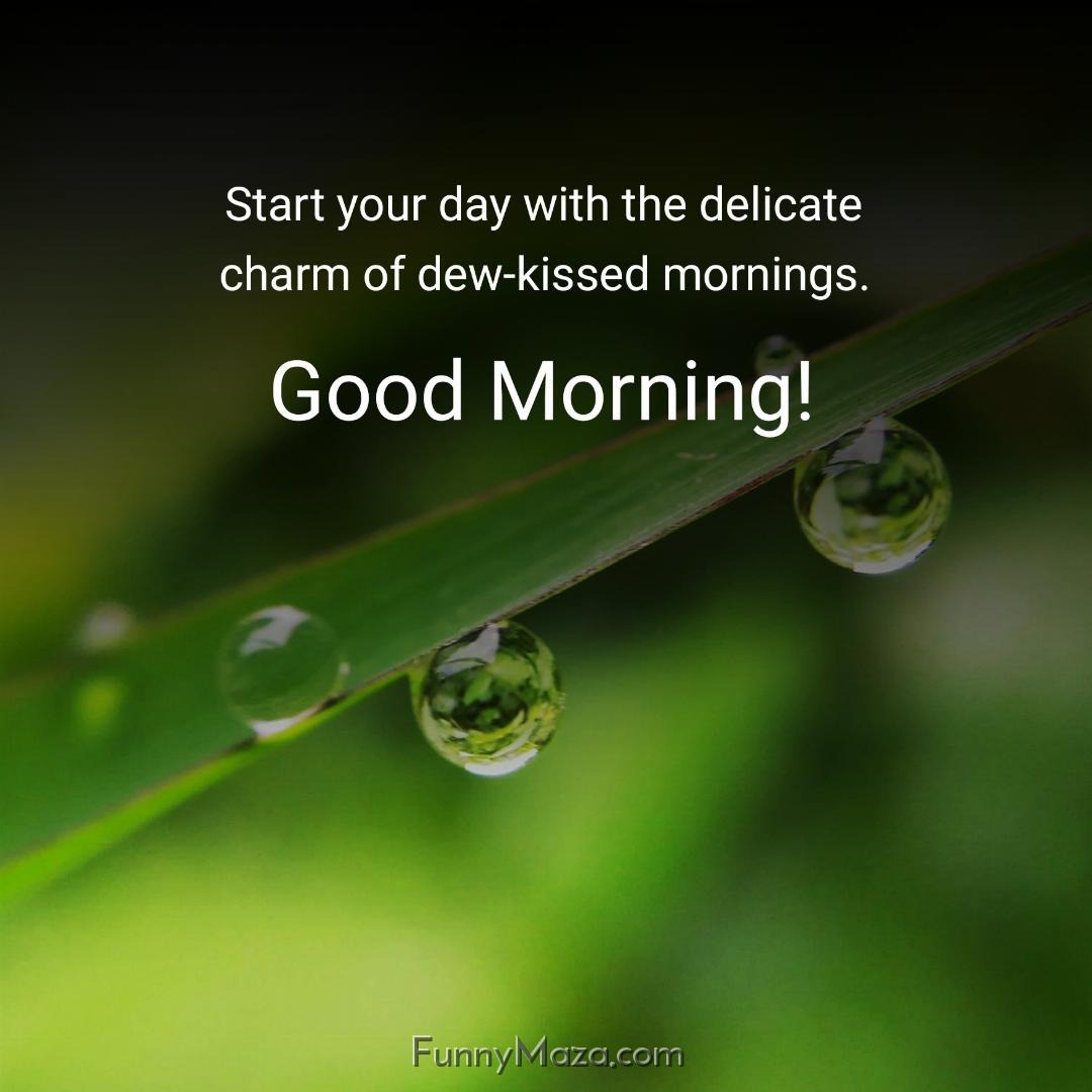 Start your day with the delicate charm of dew-kissed mornings