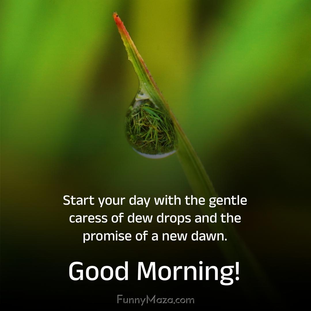 Start your day with the gentle caress of dew drops and