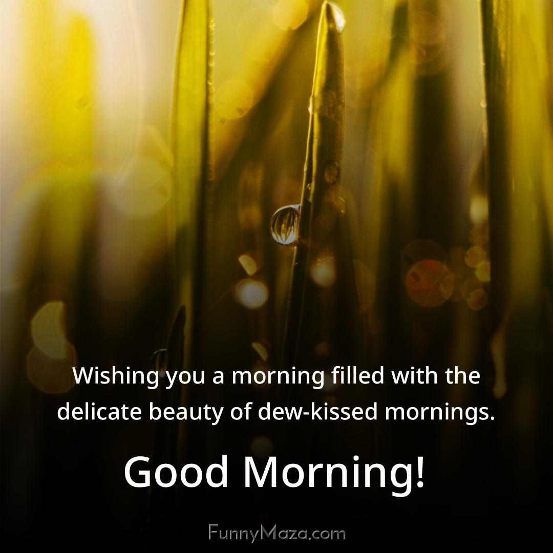 Wishing you a morning filled with the delicate beauty of dew-kissed