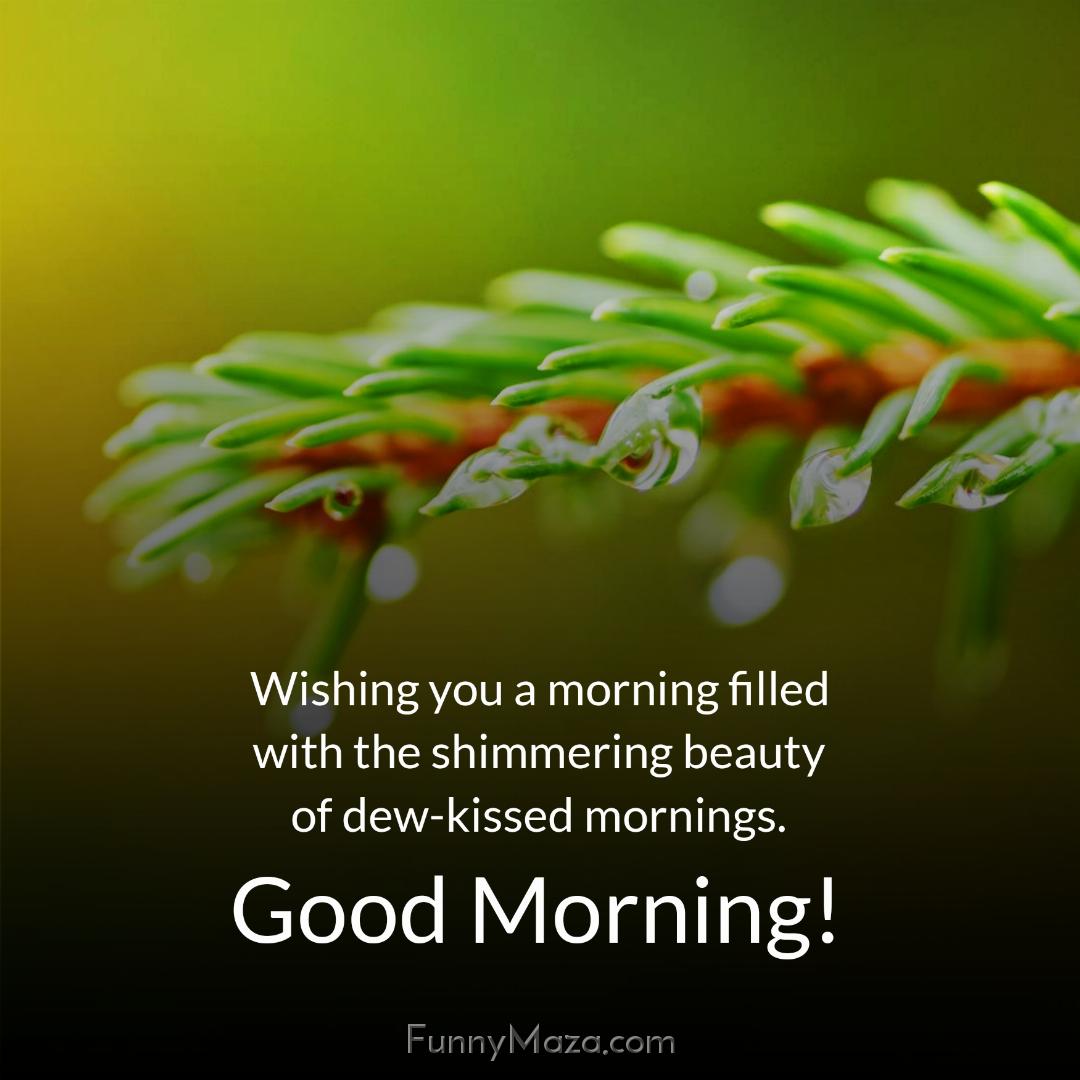 Wishing you a morning filled with the shimmering beauty of dew-kissed