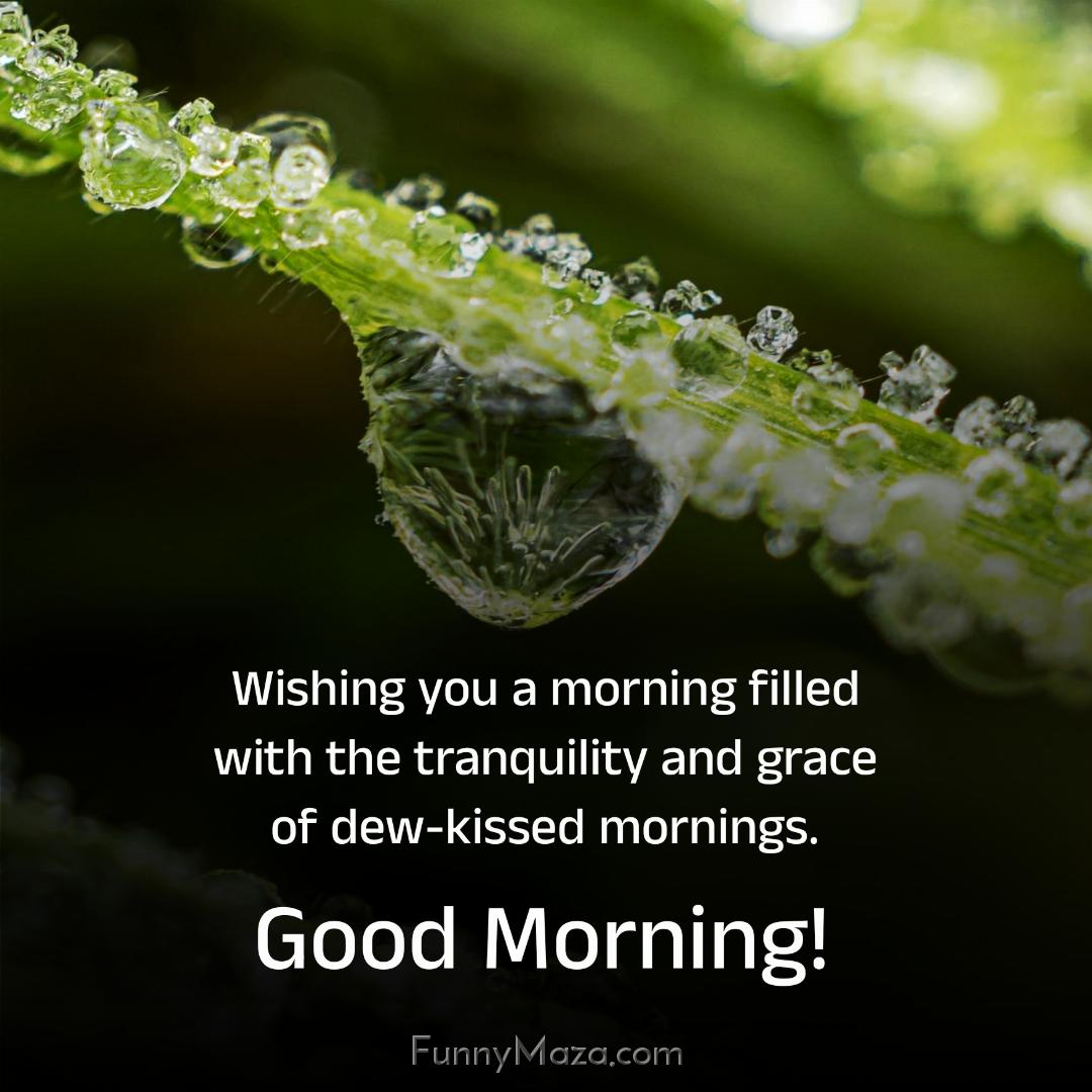 Wishing you a morning filled with the tranquility and grace of