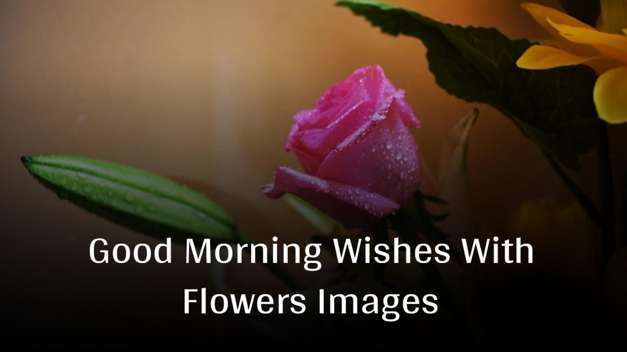 Good Morning Wishes With Flowers Images