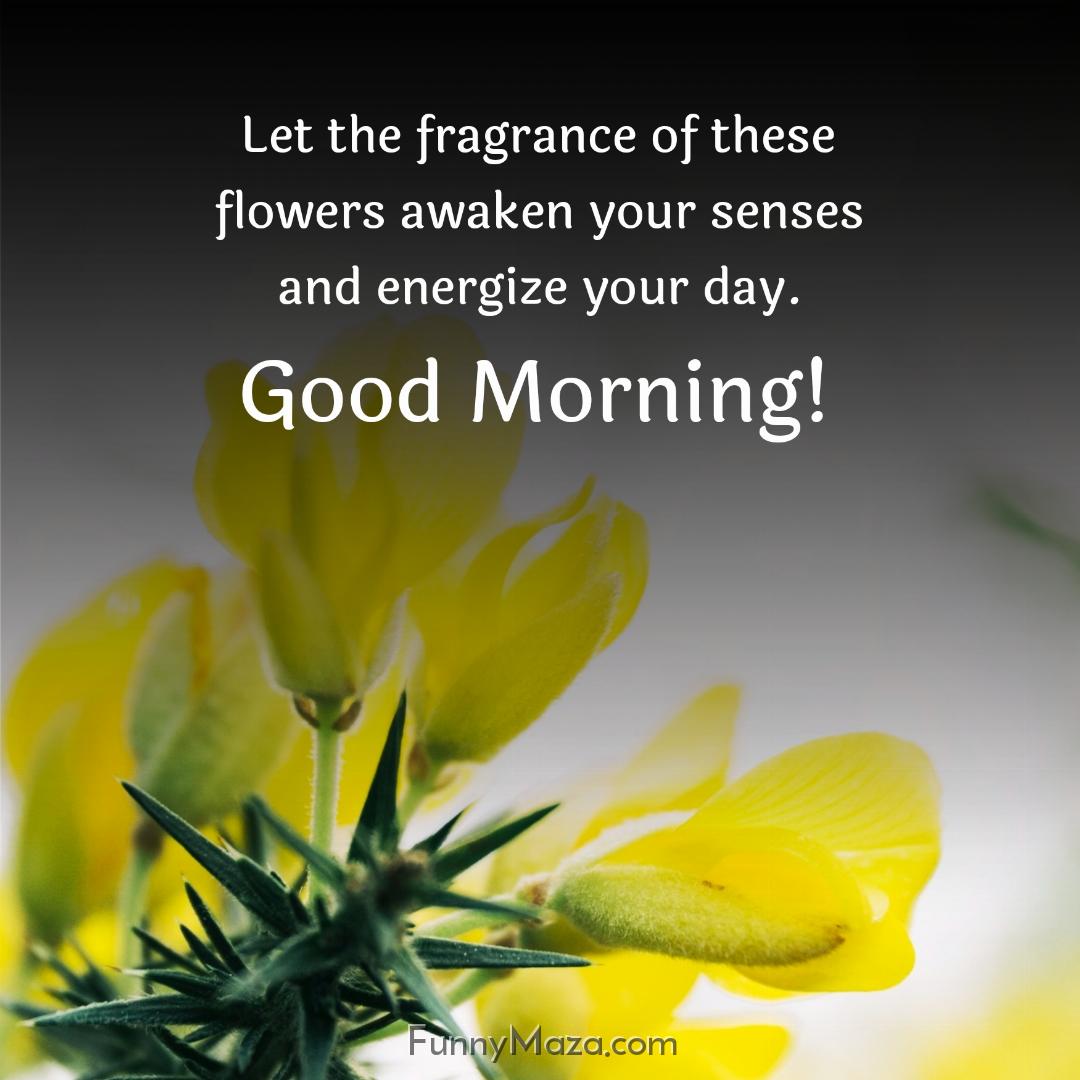 Let the fragrance of these flowers awaken your senses and energize