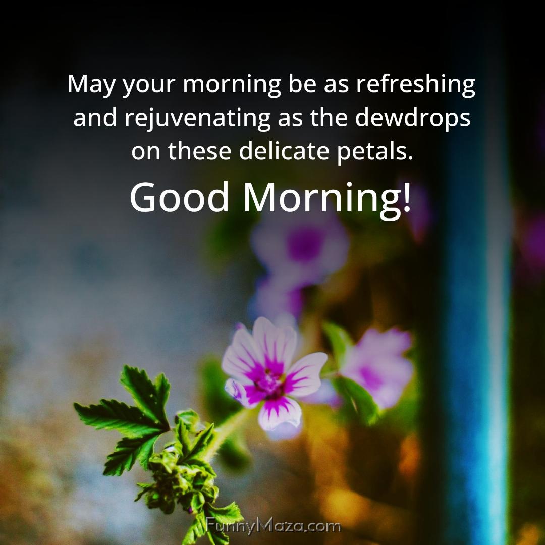 May your morning be as refreshing and rejuvenating as the dewdrops