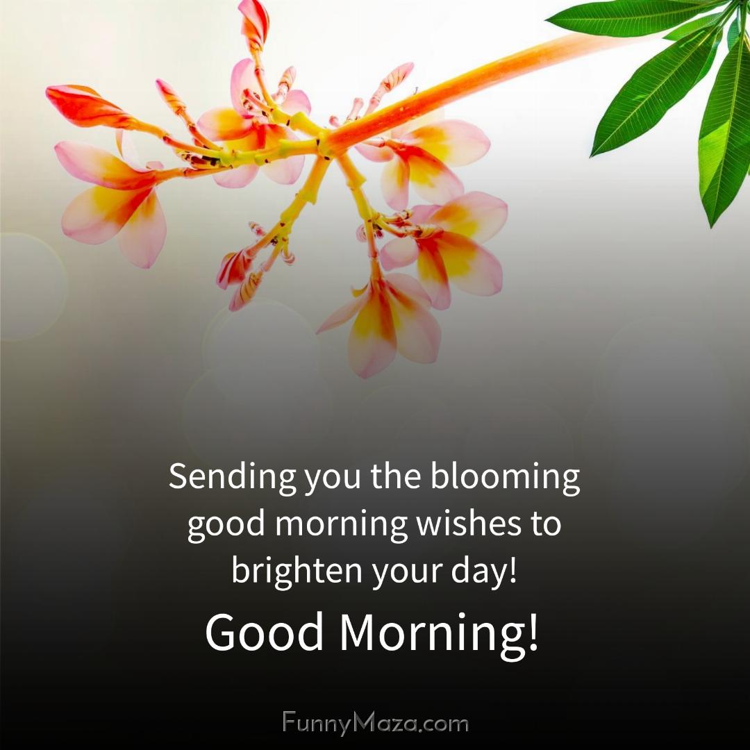 Sending you the blooming good morning wishes to brighten your day