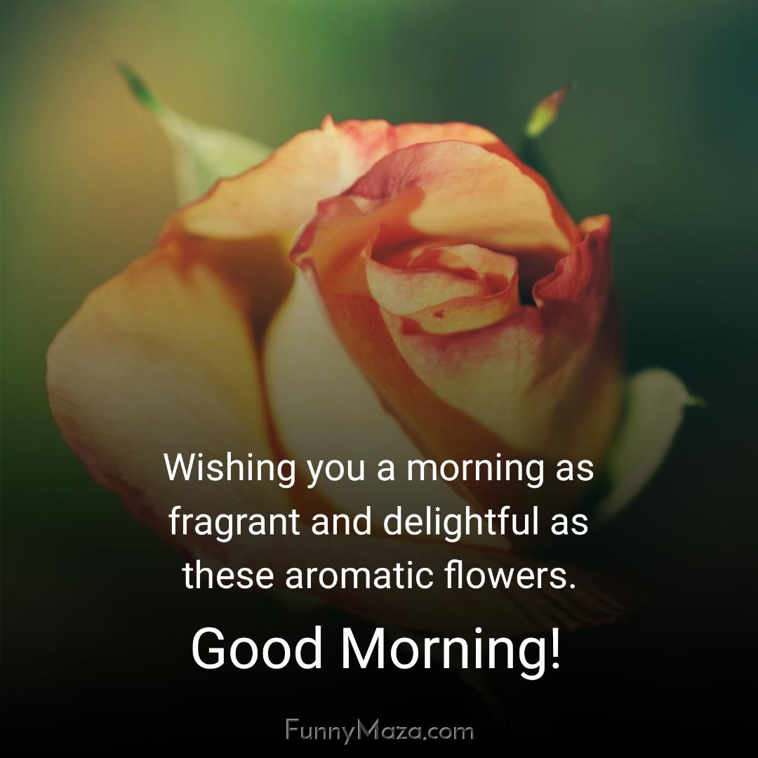 Wishing you a morning as fragrant and delightful as these aromatic