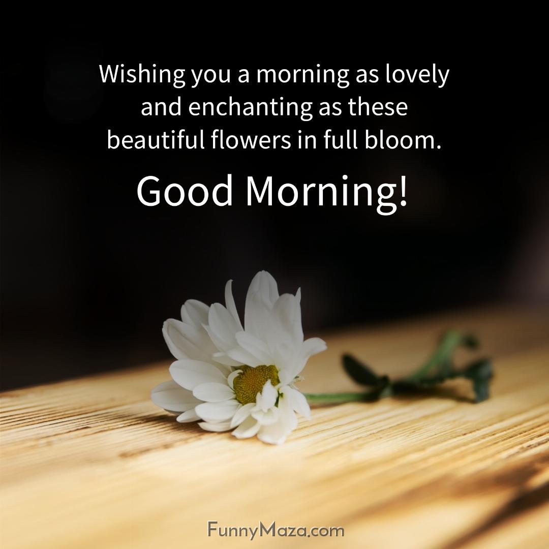 Wishing you a morning as lovely and enchanting as these beautiful