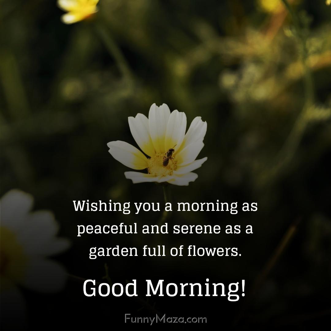 Wishing you a morning as peaceful and serene as a garden