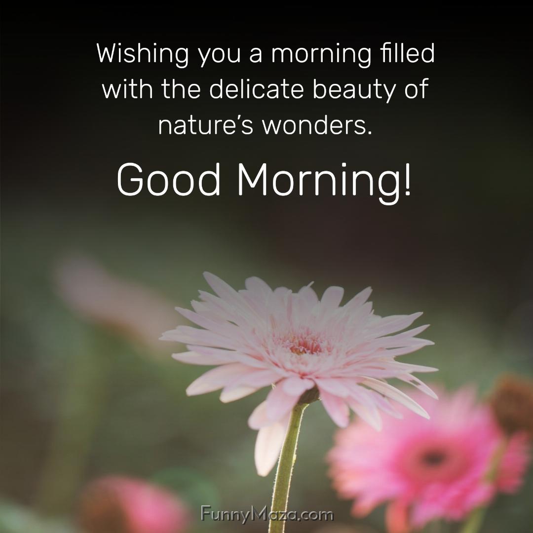 Wishing you a morning filled with the delicate beauty of nature’s