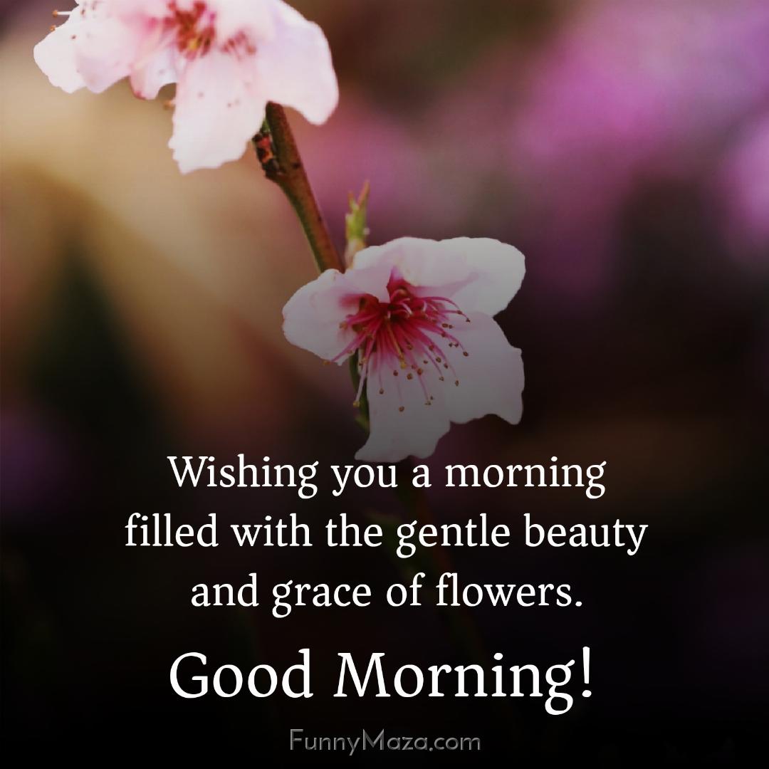 Wishing you a morning filled with the gentle beauty and grace