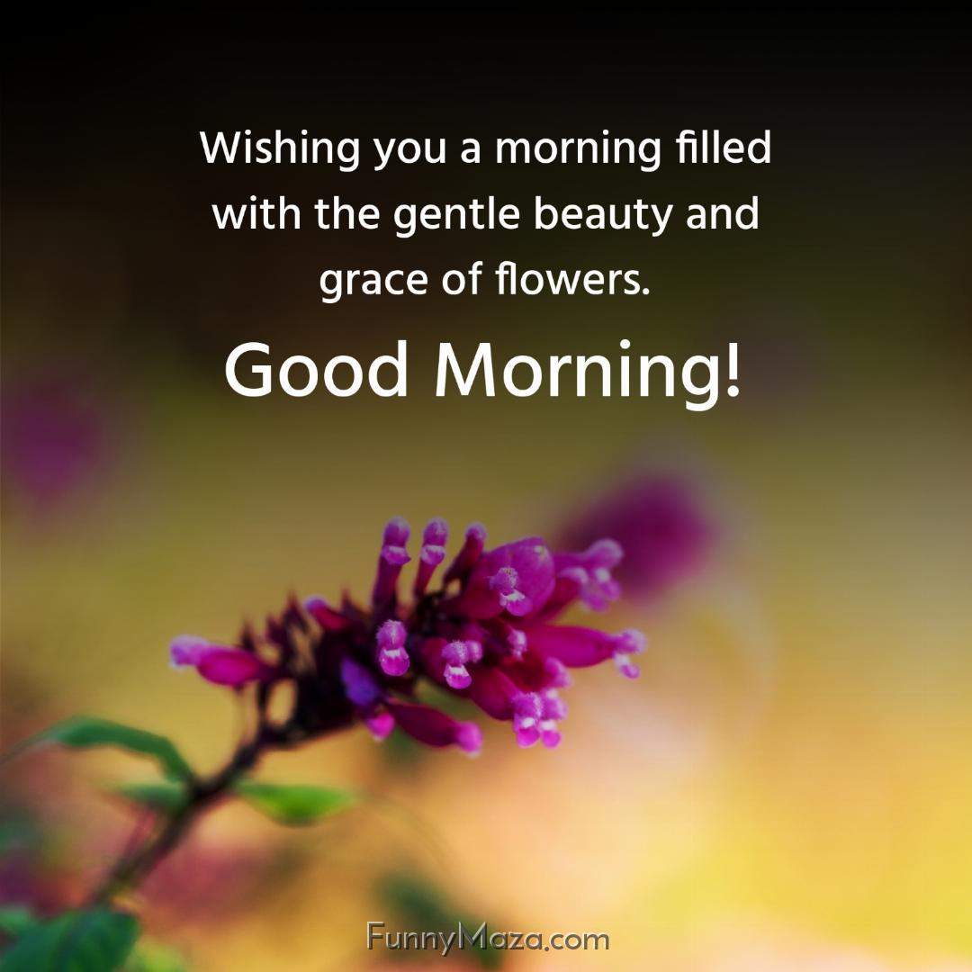 Wishing you a morning filled with the gentle whispers of nature