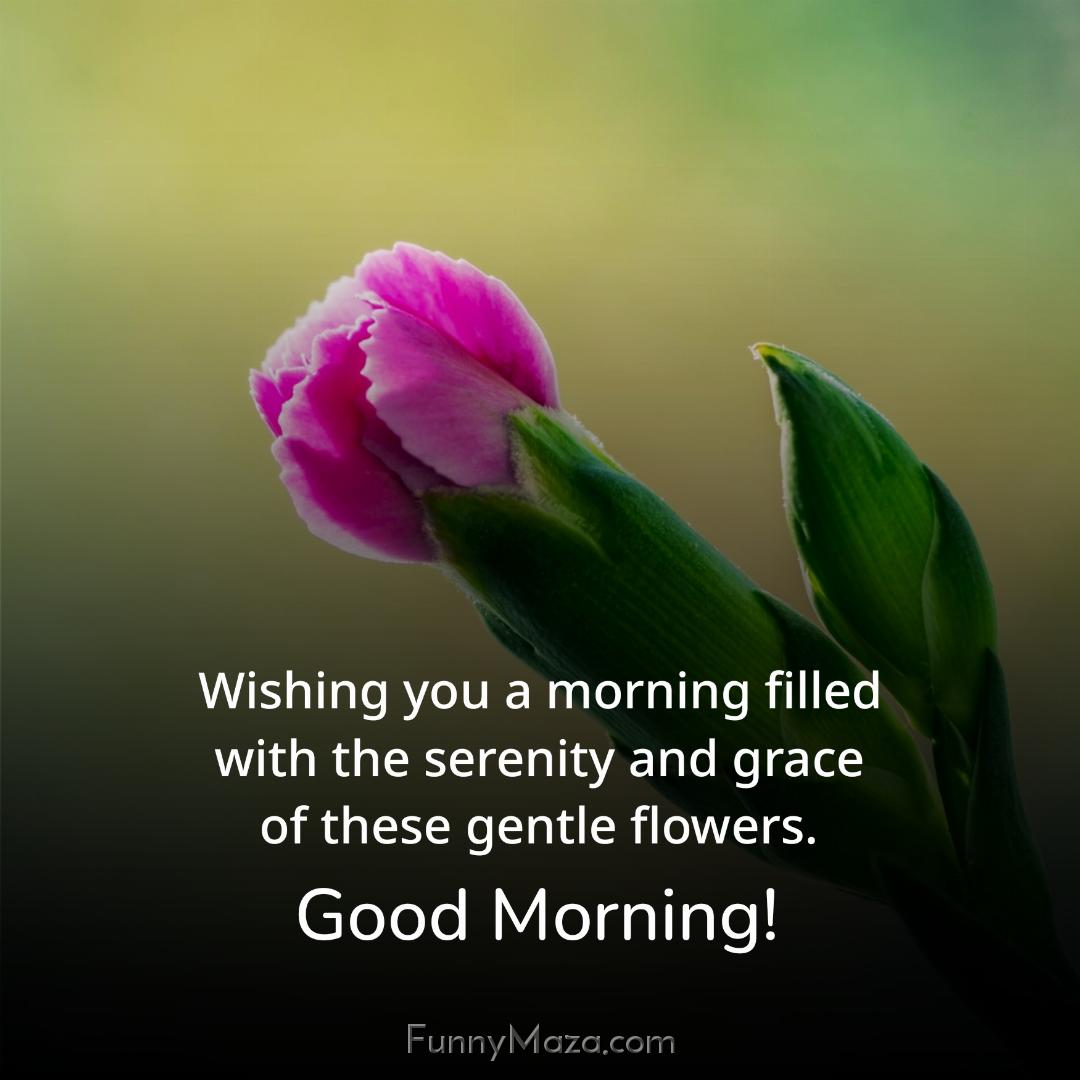 Wishing you a morning filled with the serenity and grace of