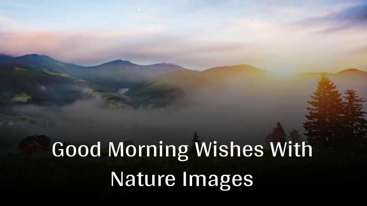 Good Morning Wishes With Nature Images