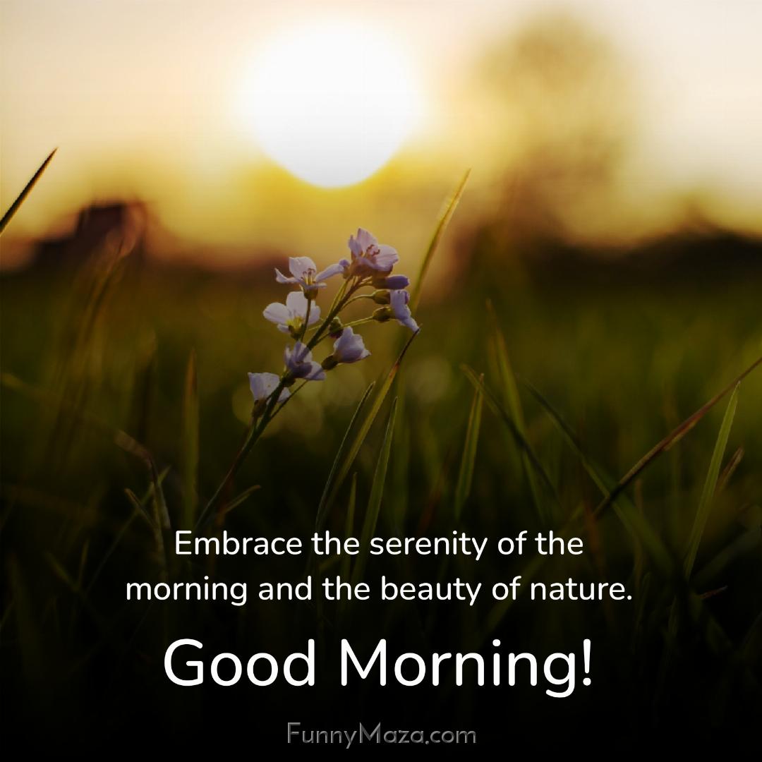 Embrace the serenity of the morning and the beauty of nature