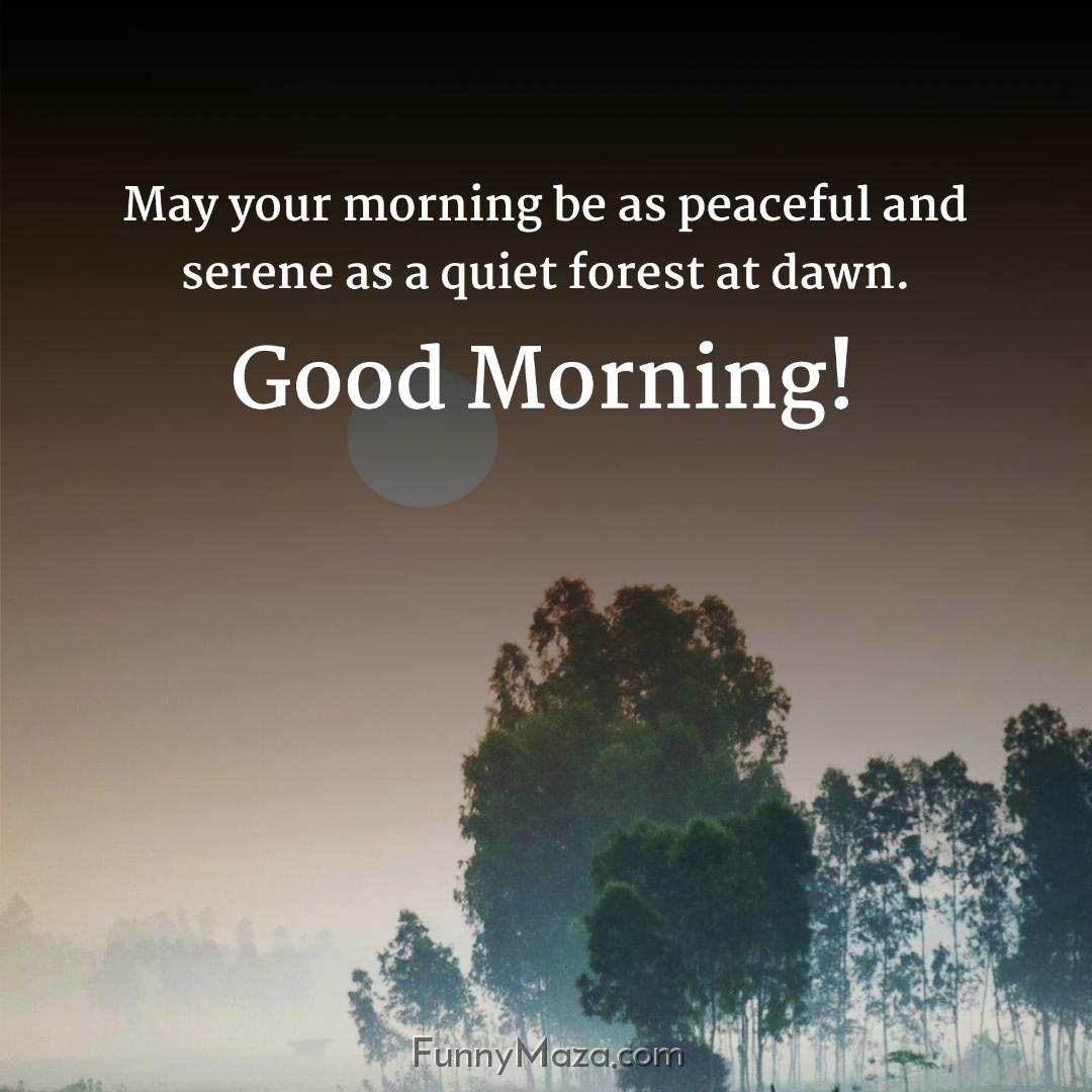 May your morning be as peaceful and serene as a quiet