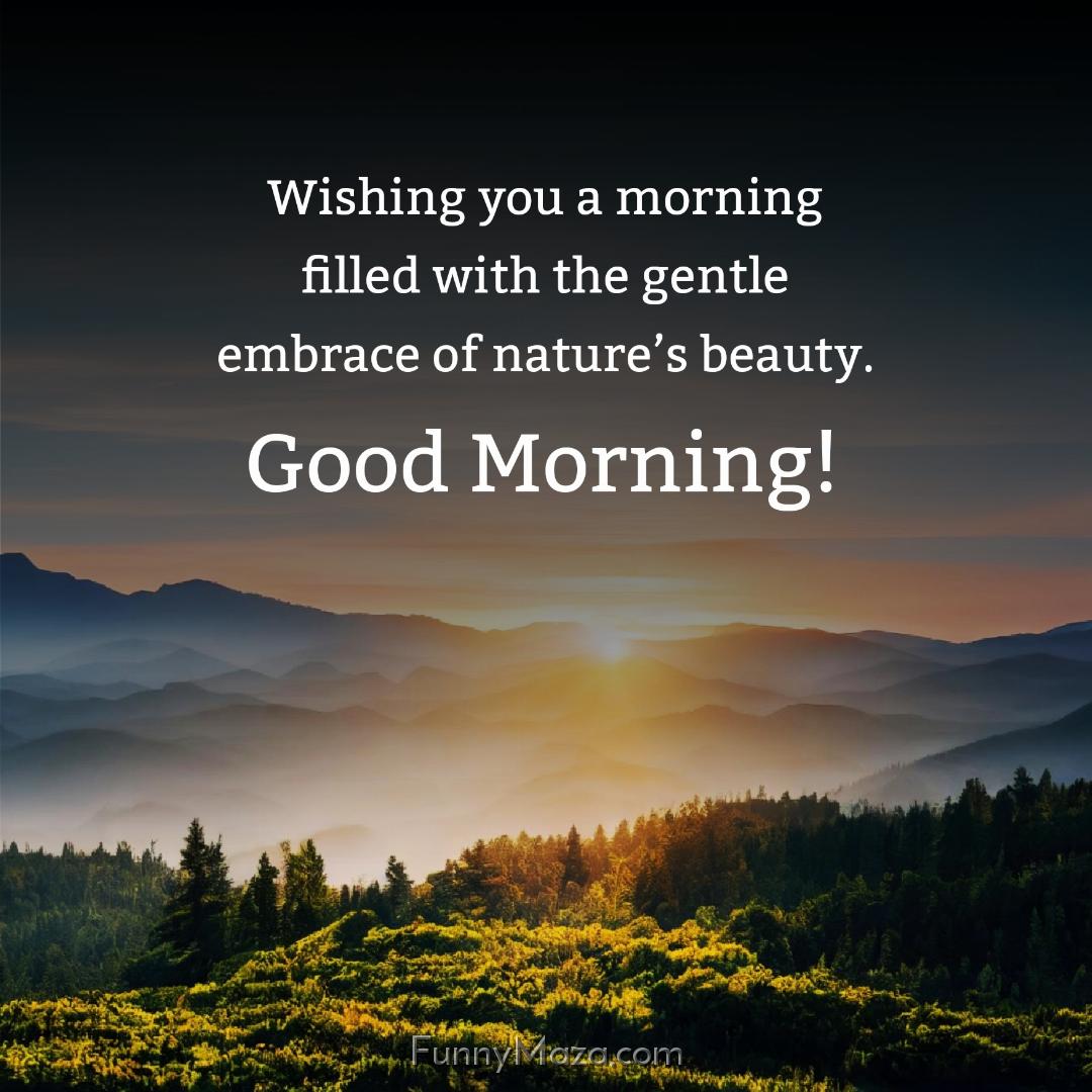 Wishing you a morning filled with the gentle embrace of nature’s