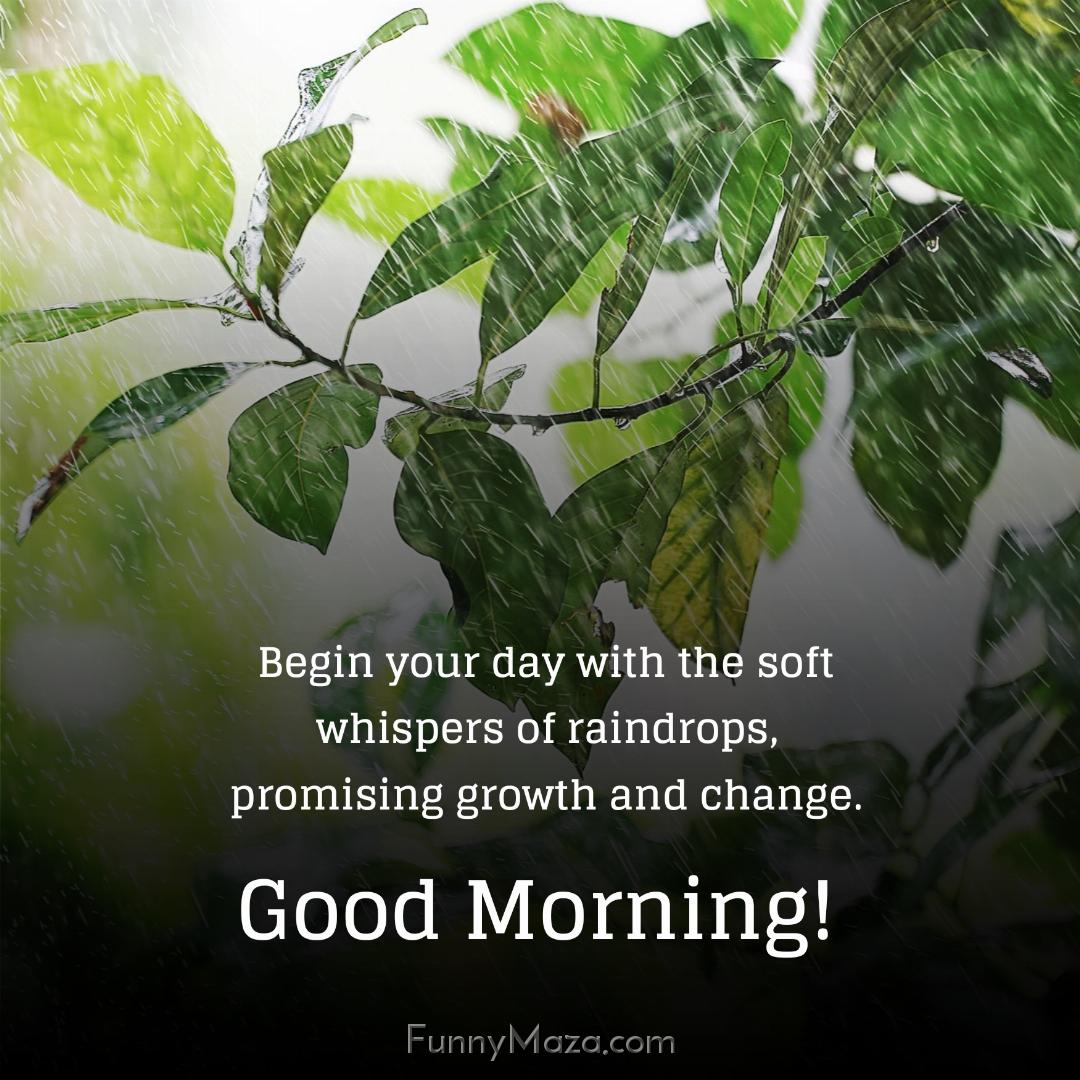 Begin your day with the soft whispers of raindrops promising growth