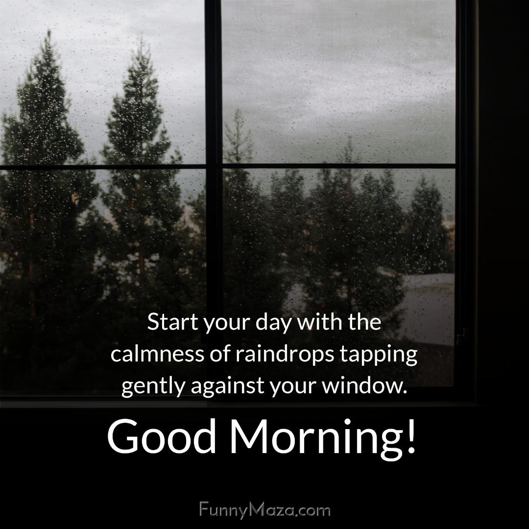 Start your day with the calmness of raindrops tapping gently against