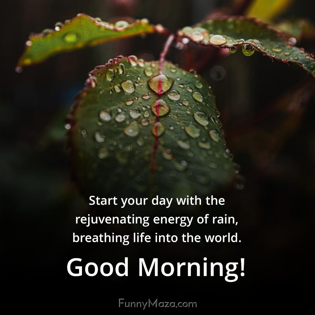 Start your day with the rejuvenating energy of rain breathing life