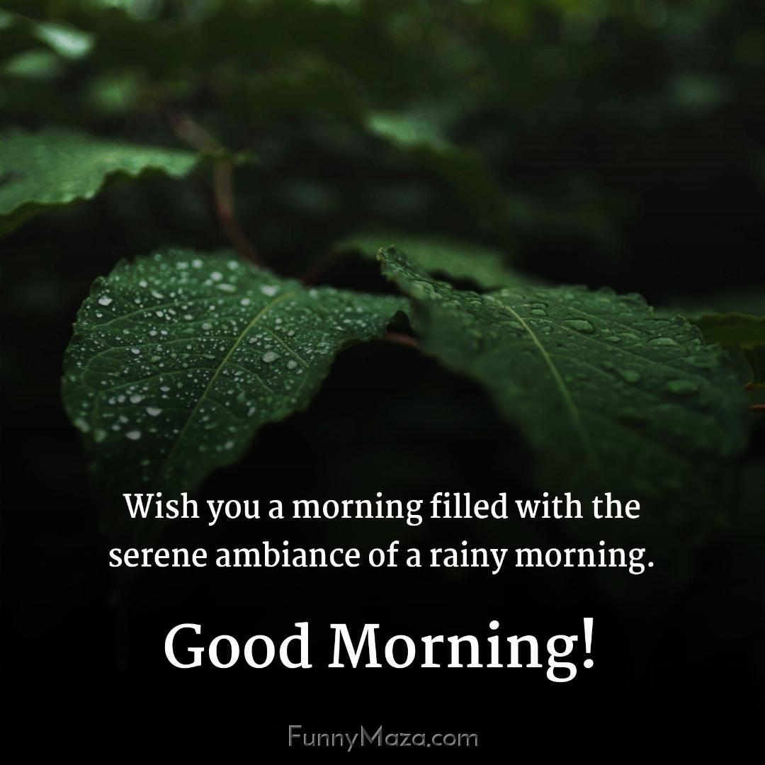 Wish you a morning filled with the serene ambiance of a