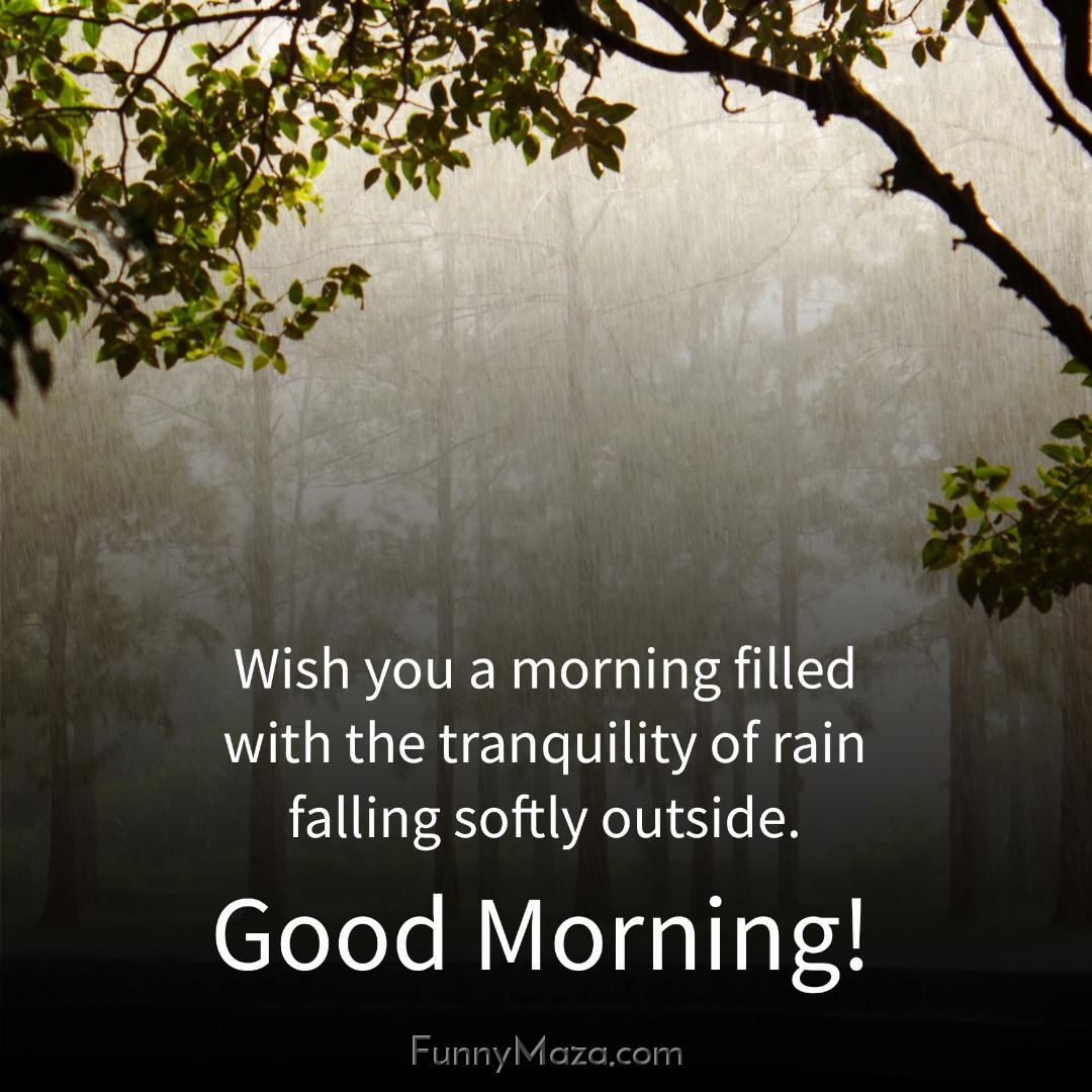 Wish you a morning filled with the tranquility of rain falling