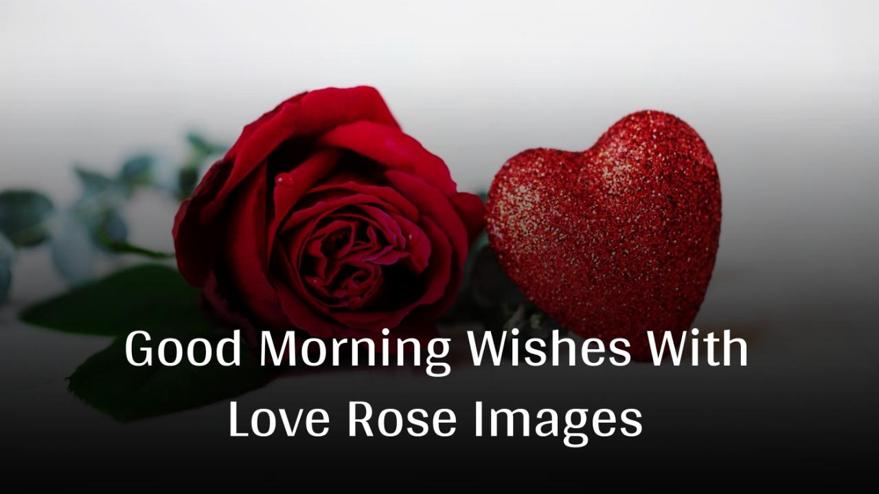 Good Morning Wishes With Rose Love Images