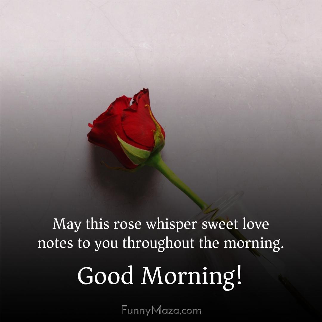 May this rose whisper sweet love notes to you throughout the