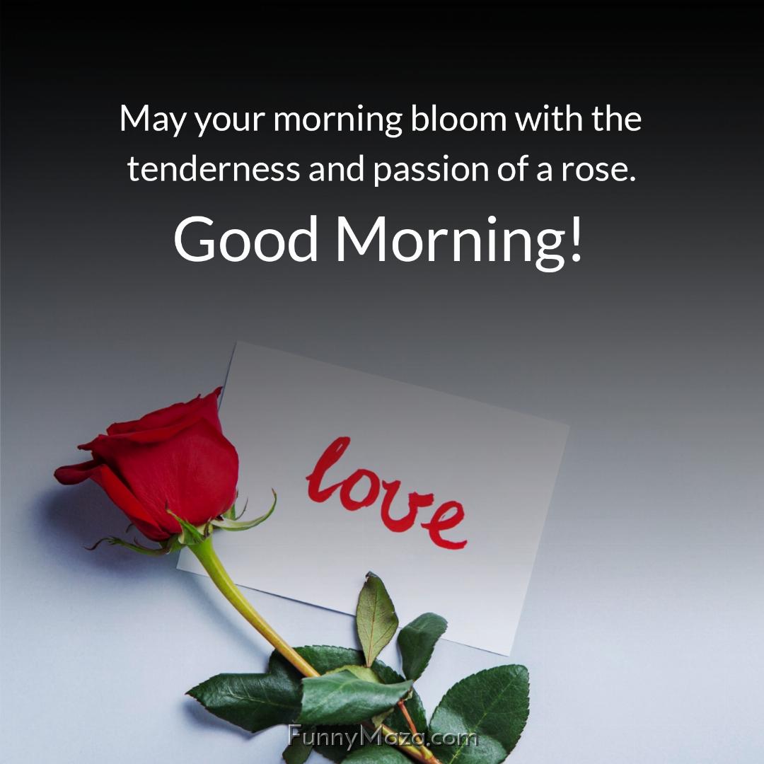 May your morning bloom with the tenderness and passion of a