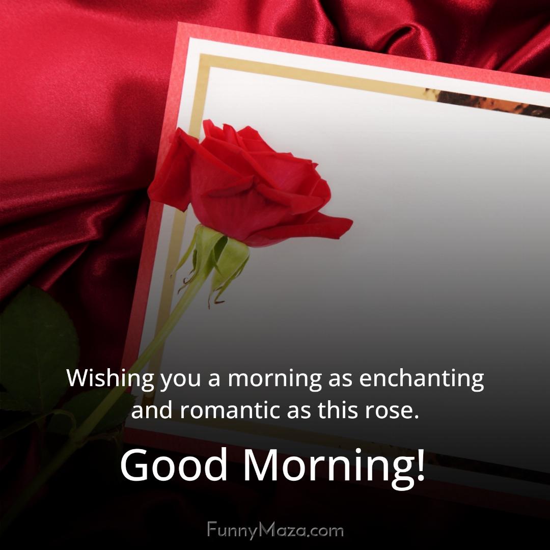 Wishing you a morning as enchanting and romantic as this rose