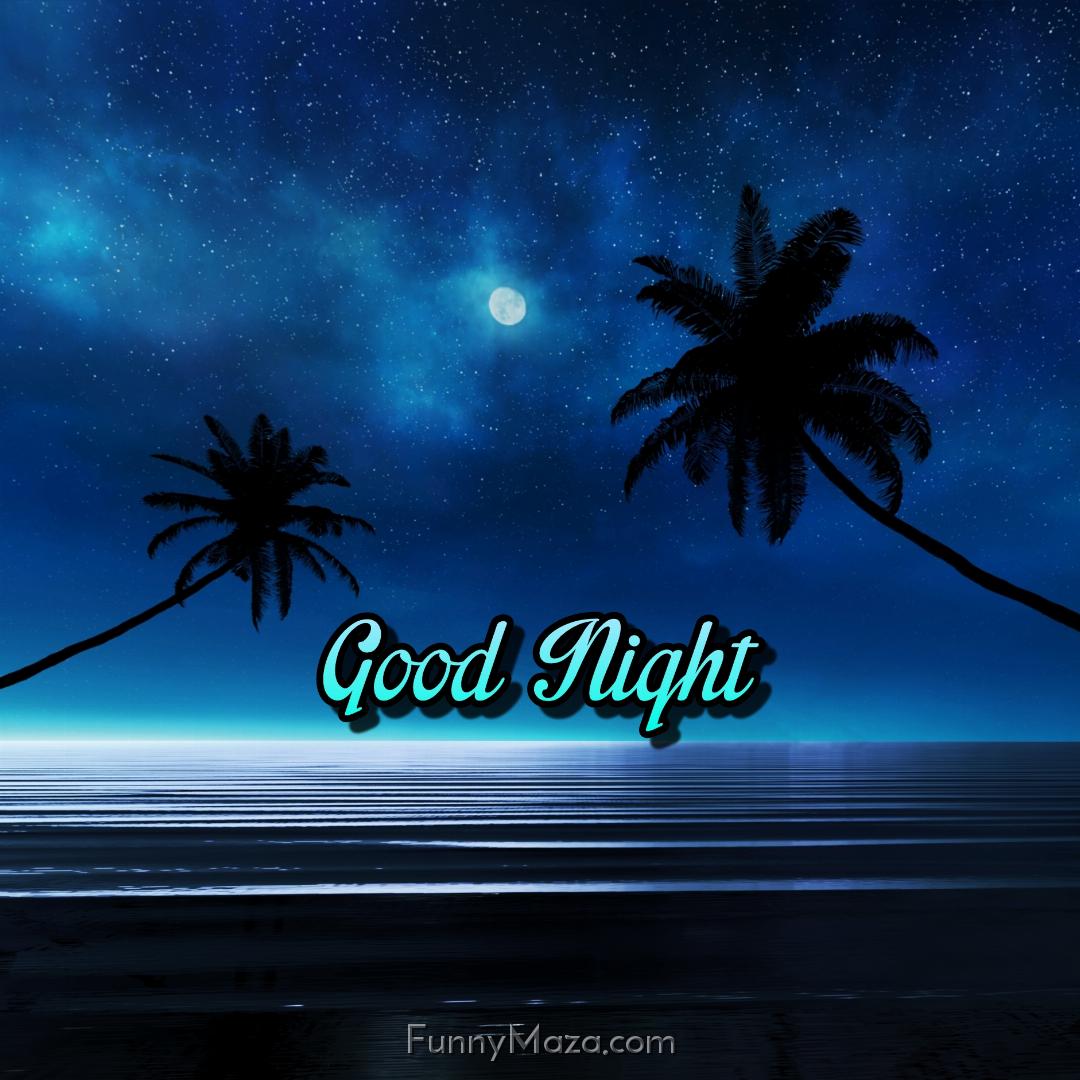 Good Night Beach Pic Download