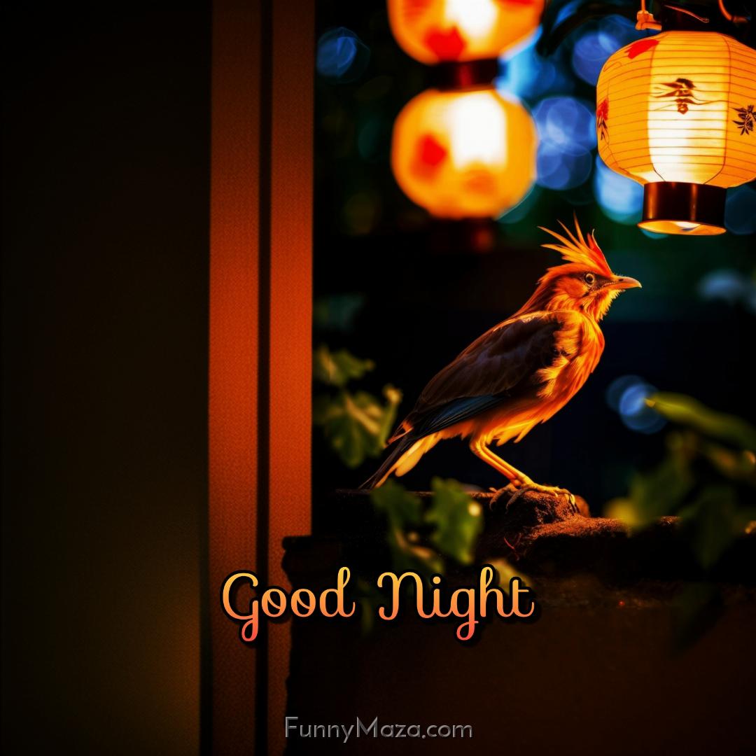 Beautiful Birds Good Night Images