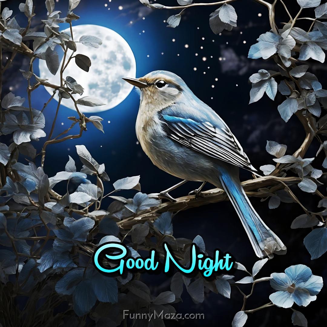 Birds Good Night Images With Moon