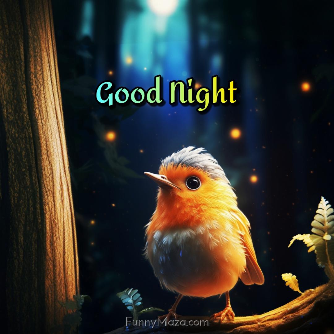 Good Night Beautiful Bird Images