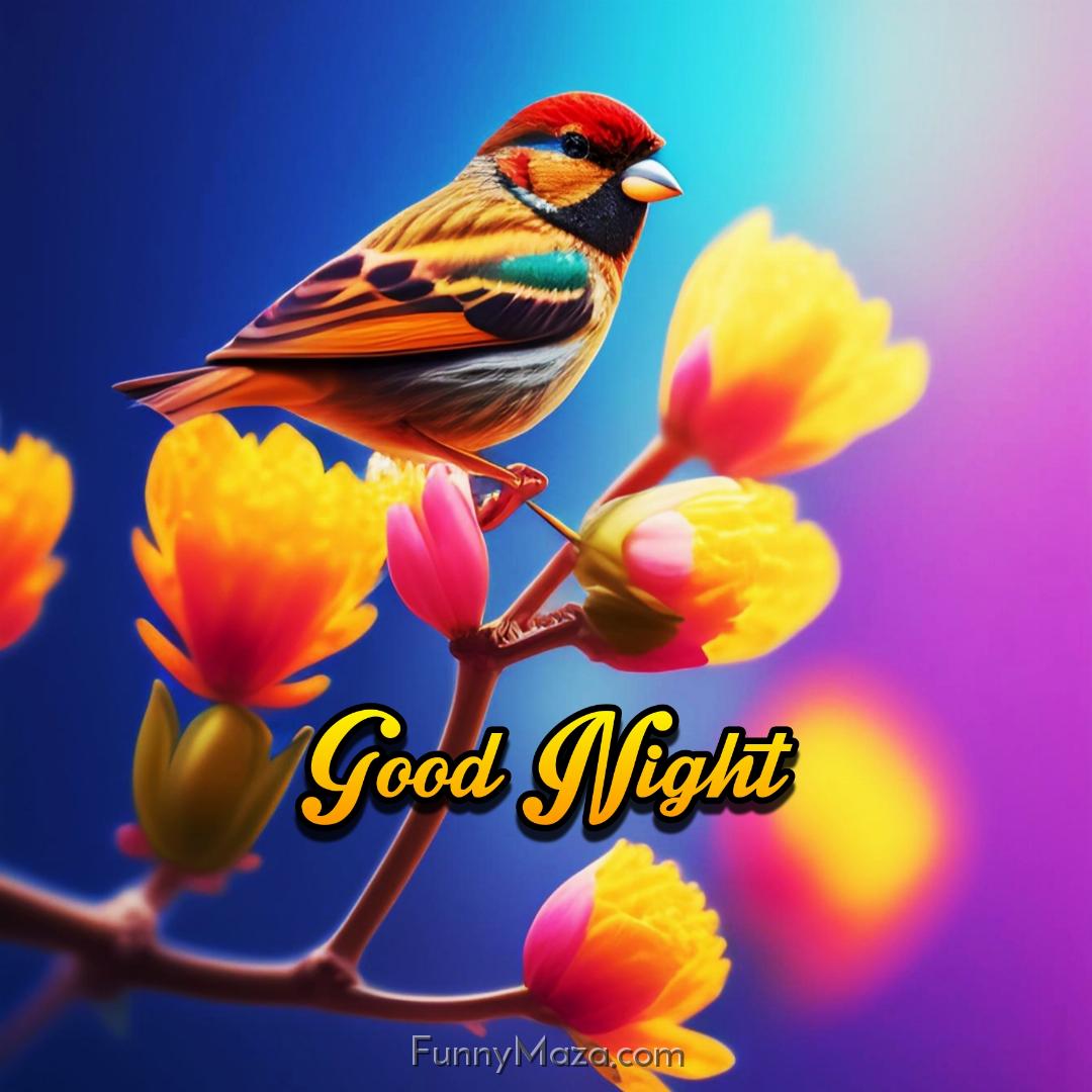 Good Night Beautiful Birds Images