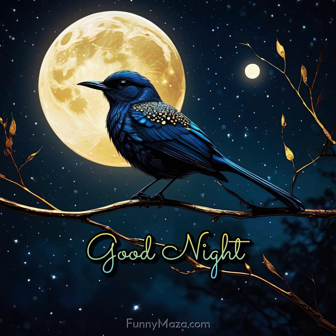 Good Night Bird With Moon Images