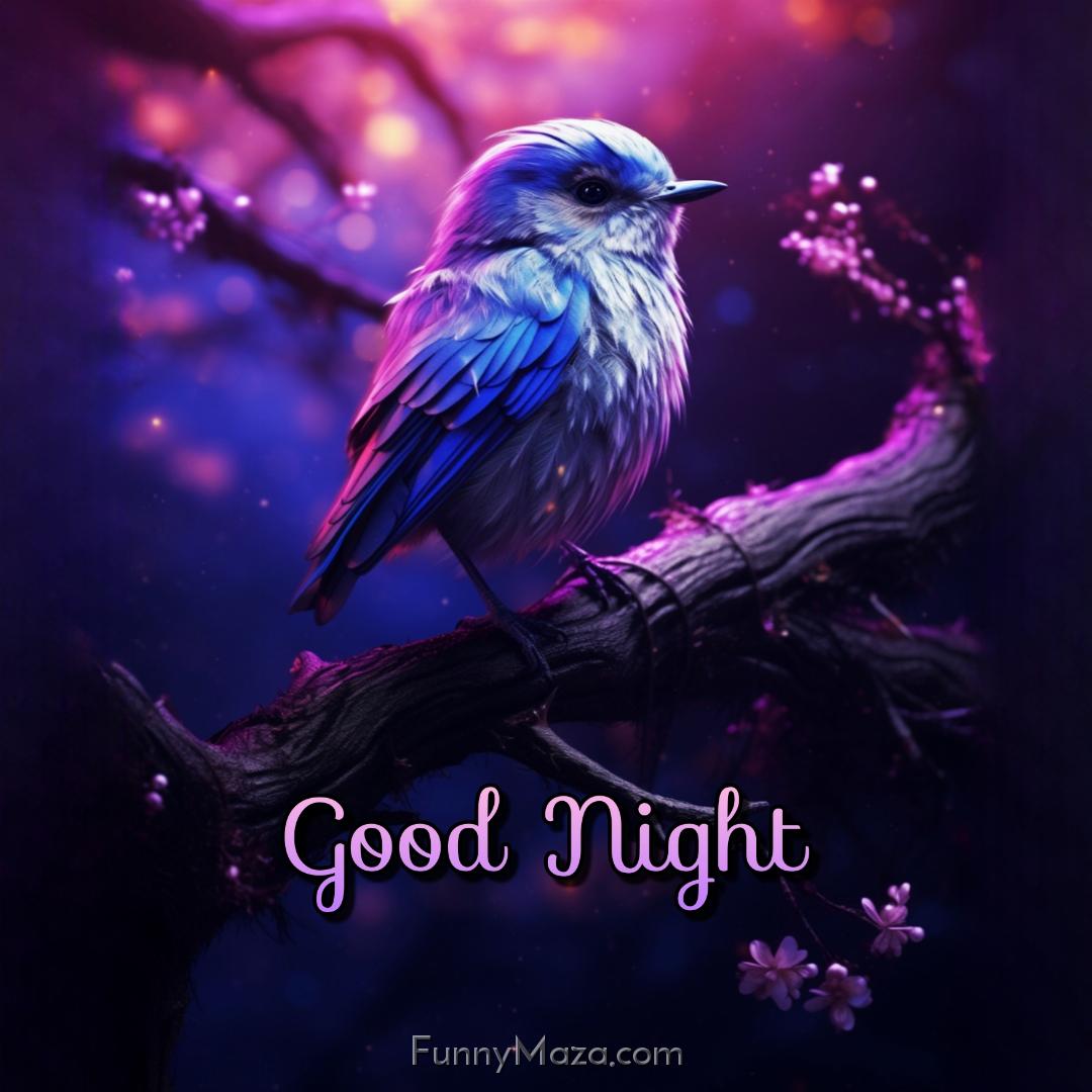 Good Night Cute Birds Images